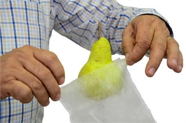 Fruit Protection Small Fabric 0.2x0.16m